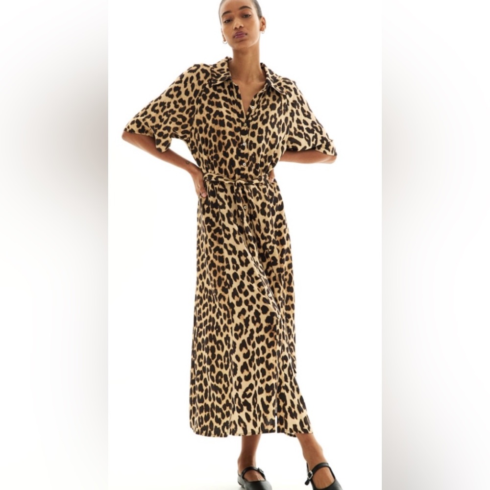 H&M medium leopard midi button down collar dress